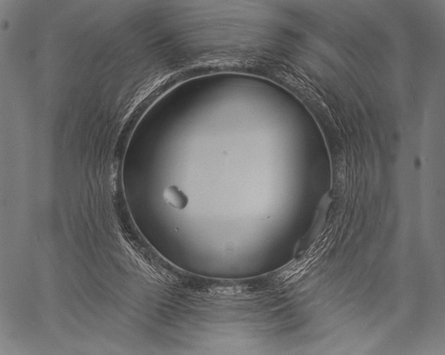 X0000057090160200509301600