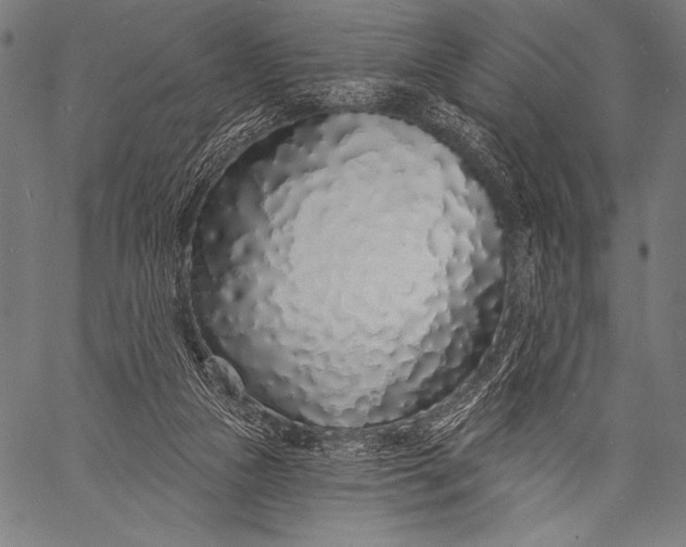 X0000057090161200509301600