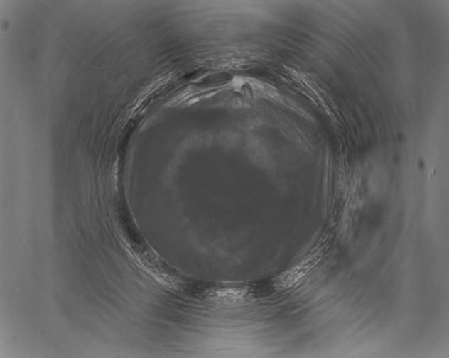 X0000057090163200509301600