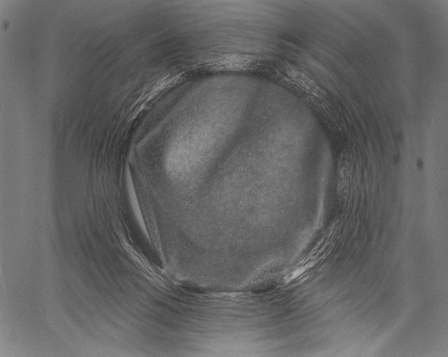 X0000057090168200509301600