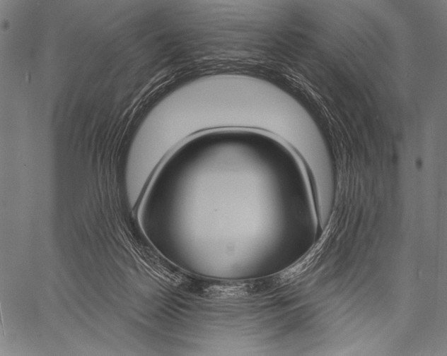 X0000057090170200509301600