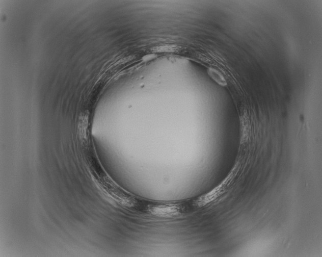 X0000057090171200509301600