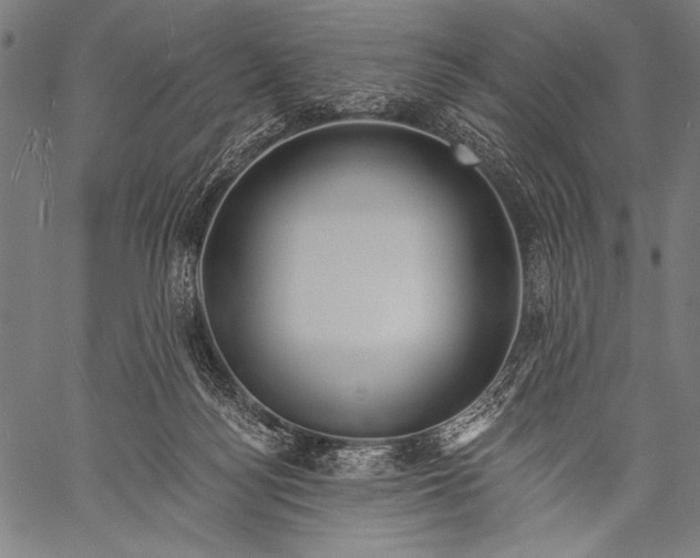 X0000057090172200509301600