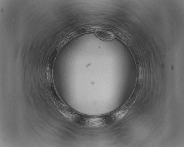 X0000057090173200509301600