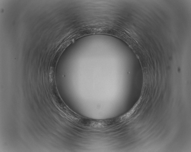 X0000057090174200509301600