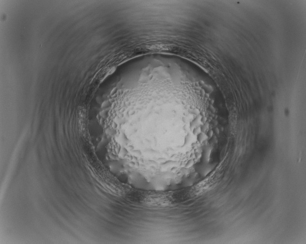 X0000057090175200509301600