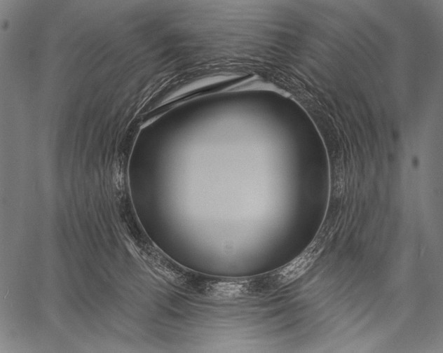 X0000057090176200509301600