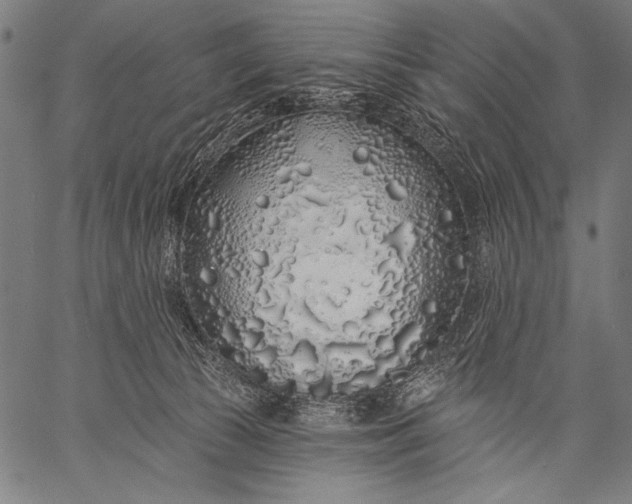 X0000057090177200509301600