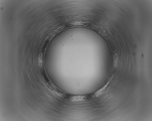 X0000057090179200509301600