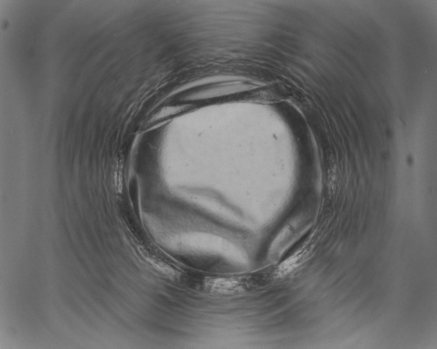 X0000057090180200509301600