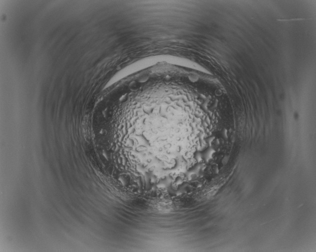 X0000057090181200509301600