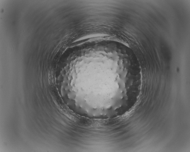 X0000057090182200509301600