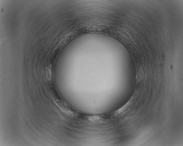 X0000057090183200509301600