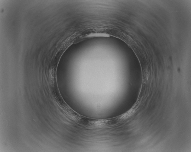 X0000057090184200509301600