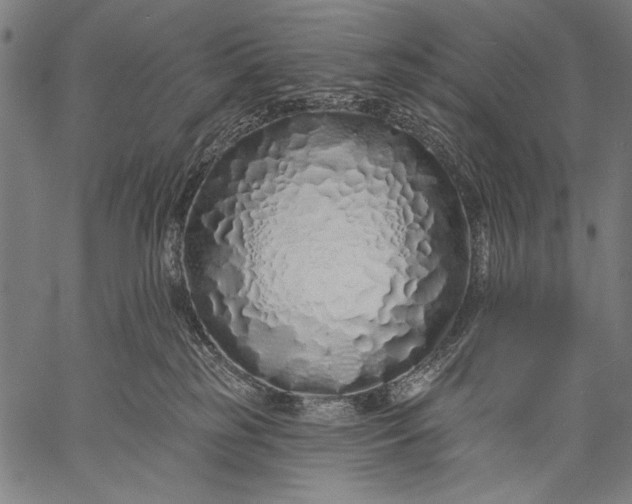 X0000057090185200509301600