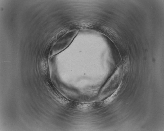 X0000057090186200509301600