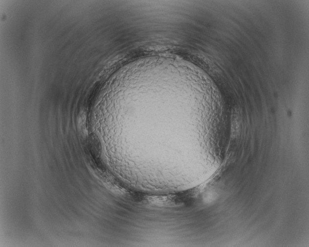 X0000057090187200509301600