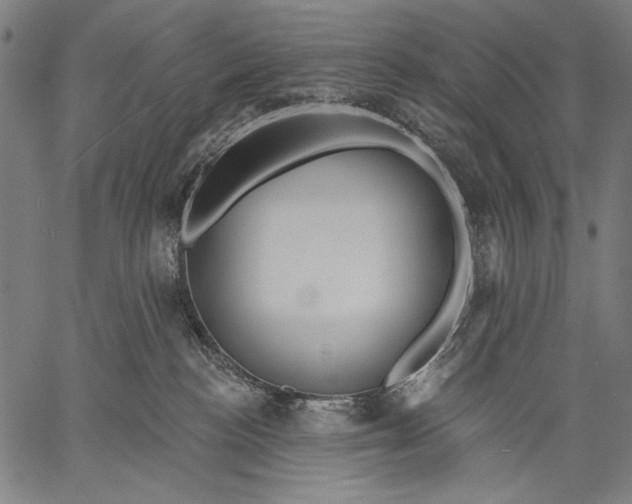 X0000057090188200509301600