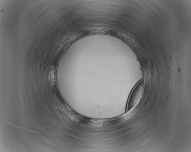 X0000057090190200509301600