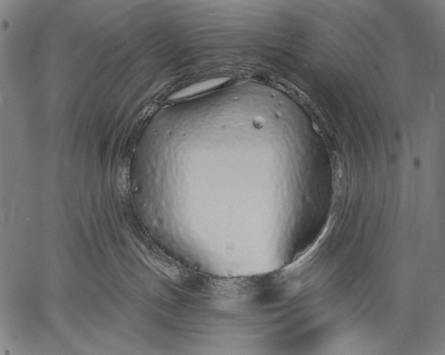 X0000057090191200509301600