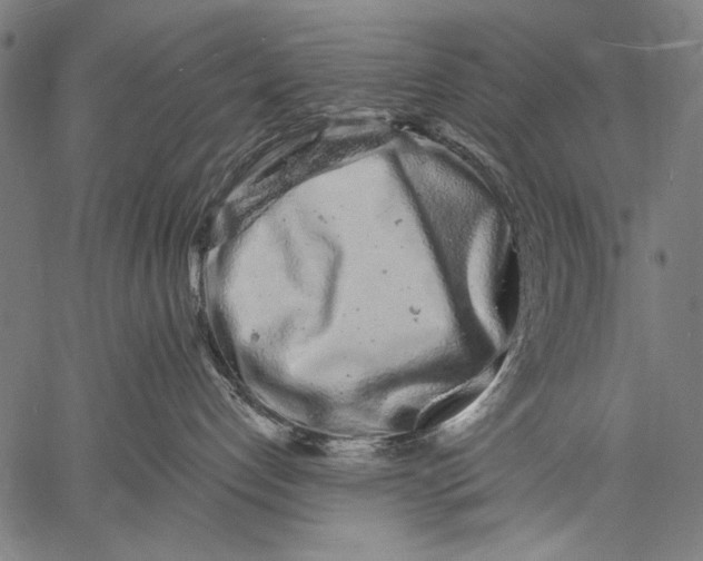 X0000057090192200509301600