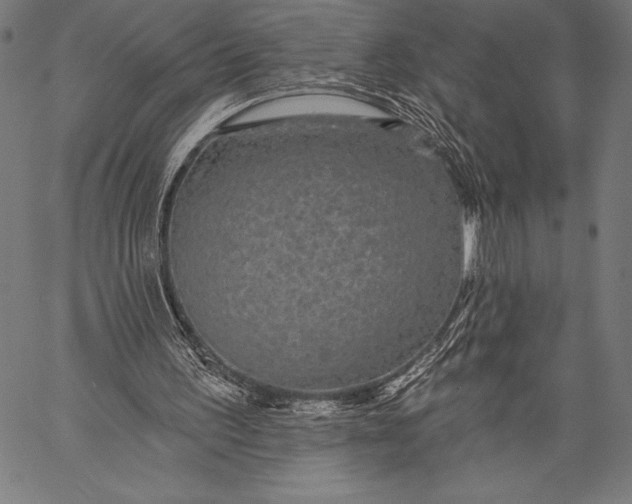 X0000057090195200509301600