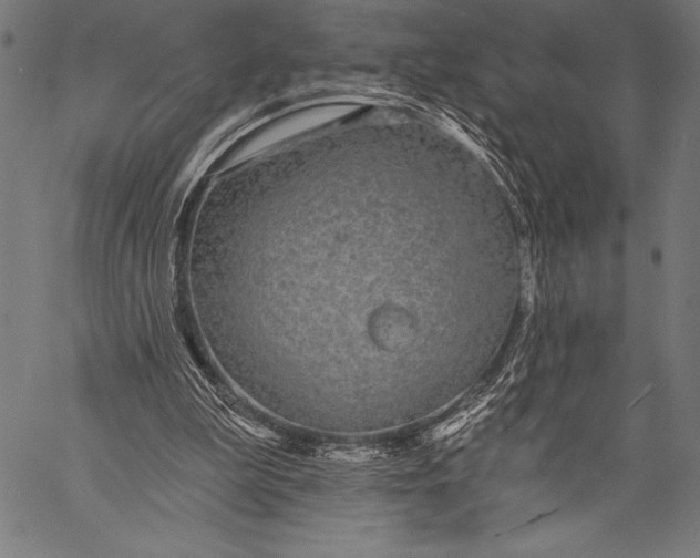 X0000057090199200509301559