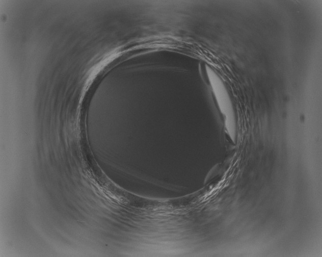 X0000057090200200509301559