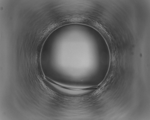 X0000057090201200509301559