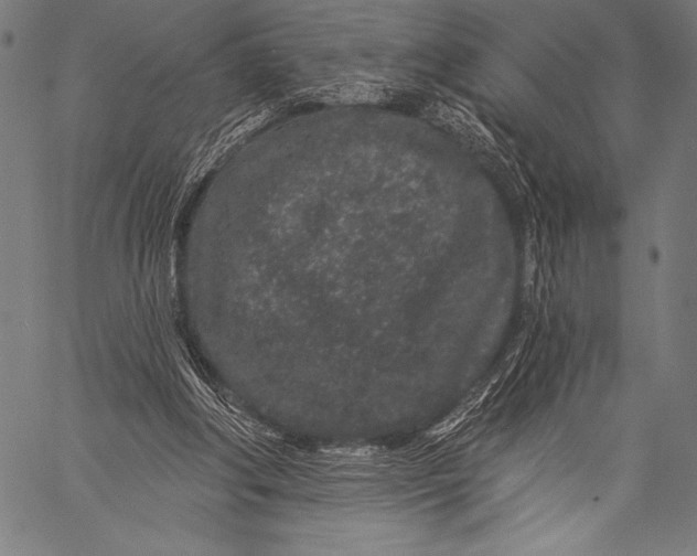 X0000057090202200509301559