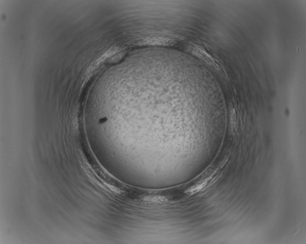 X0000057090203200509301559