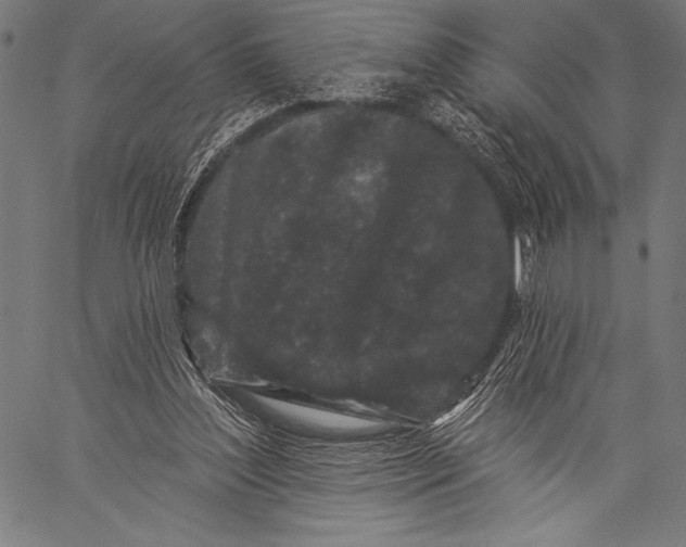 X0000057090204200509301559