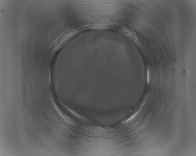 X0000057090205200509301559