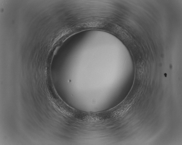 X0000057090207200509301559