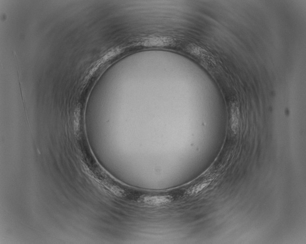 X0000057090208200509301559