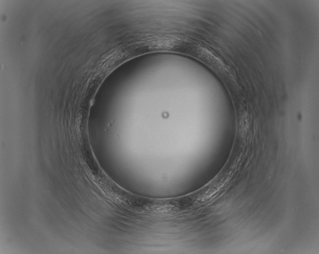 X0000057090209200509301559