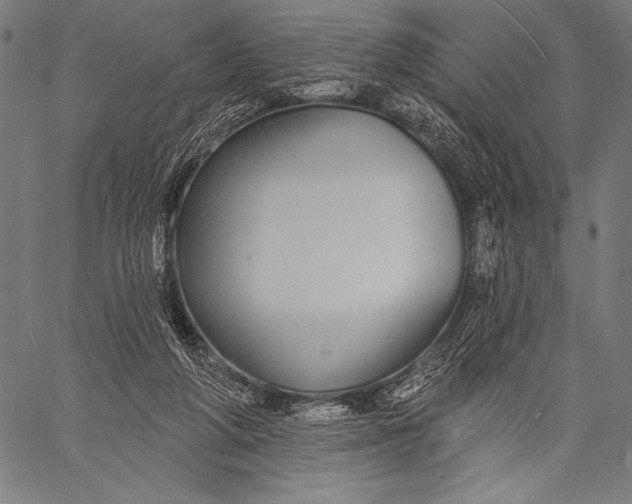 X0000057090210200509301559