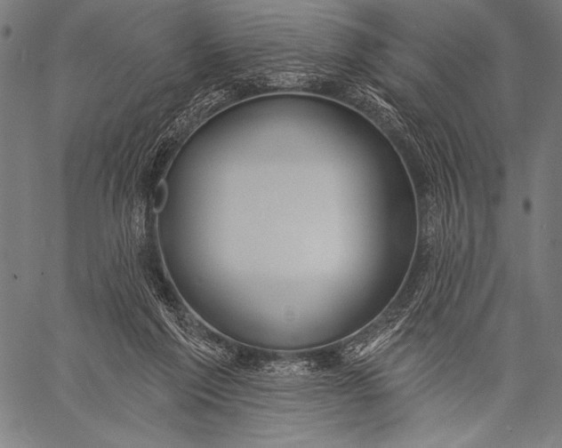 X0000057090213200509301559