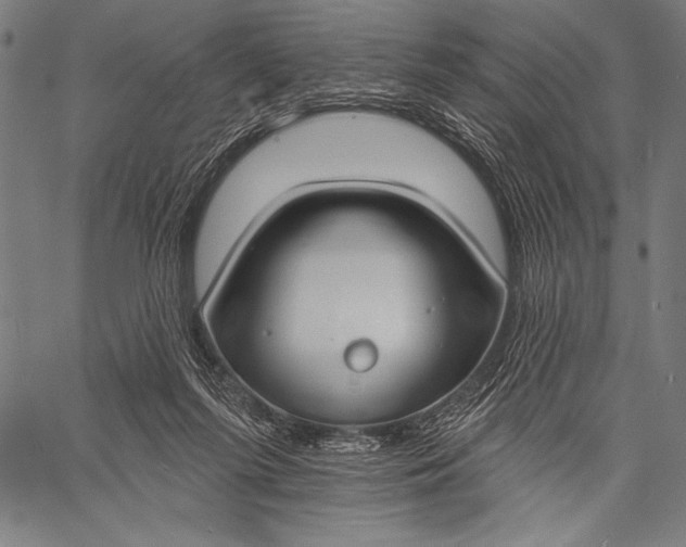 X0000057090215200509301559