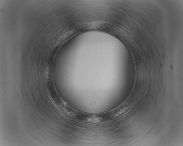 X0000057090216200509301559