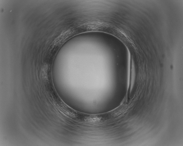 X0000057090217200509301559