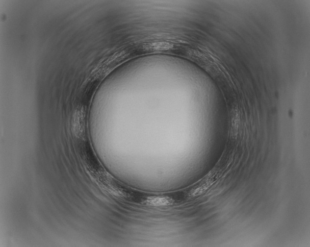 X0000057090218200509301559