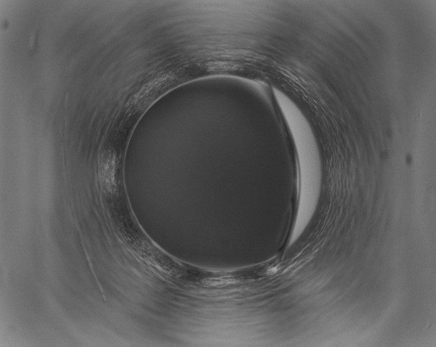 X0000057090219200509301559