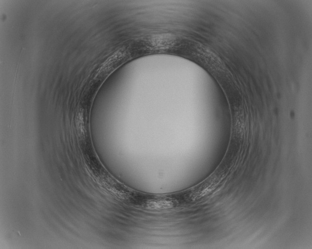 X0000057090220200509301559