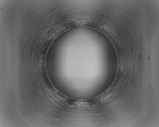 X0000057090221200509301559