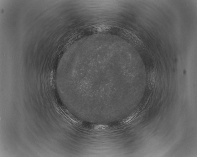 X0000057090222200509301559