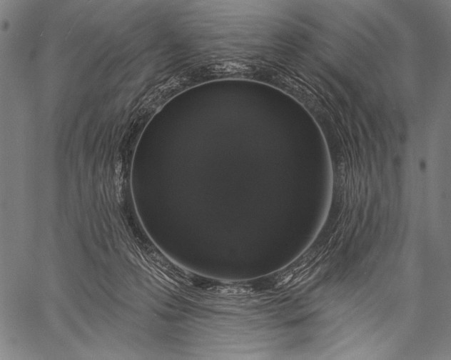 X0000057090223200509301559