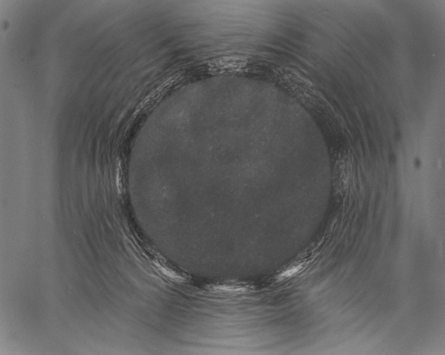 X0000057090224200509301559