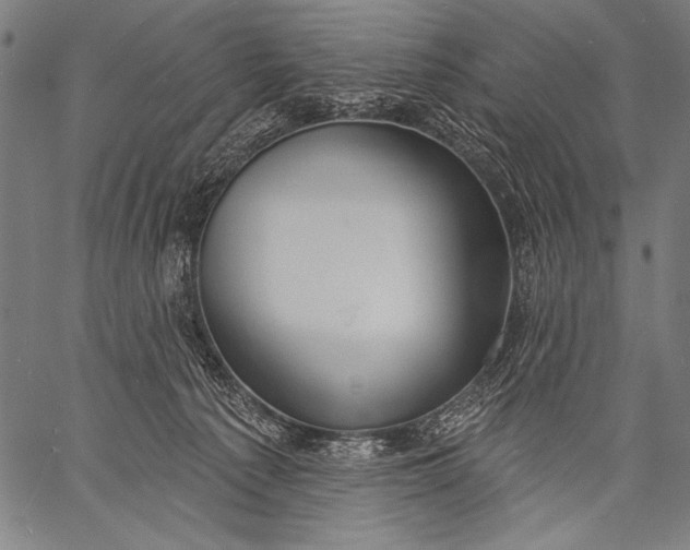 X0000057090225200509301559