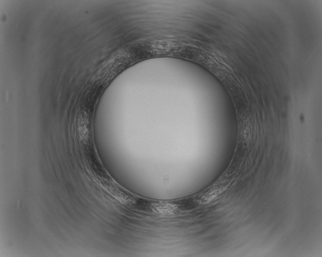 X0000057090226200509301559